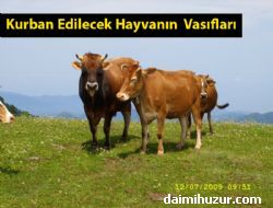 Kurban Edilecek Hayvanın Vasıfları